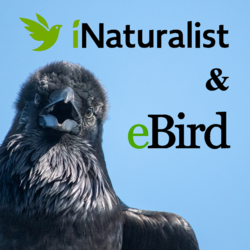 iNaturalist & eBird