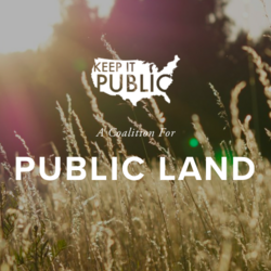 Keep It Public logo